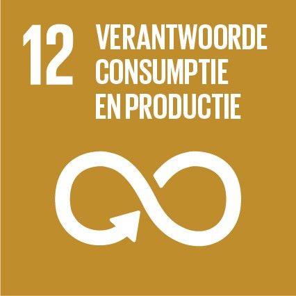 Verantwoorde consumptie en productie